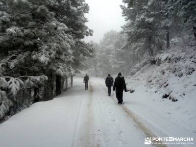 Valle de Iruelas - Pozo de nieve - Cerro de la Encinilla;rutas a caballo madrid rutas caballo madrid